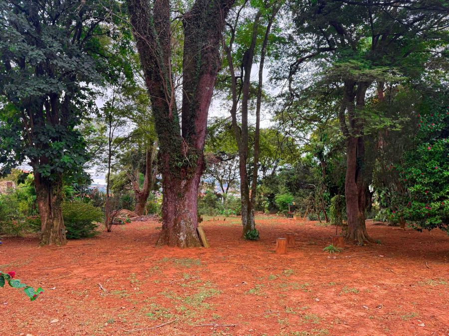 Terreno à venda, 340m² - Foto 15