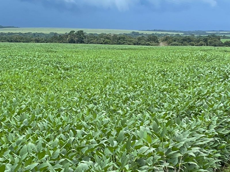 Fazenda à venda, 17125m² - Foto 13