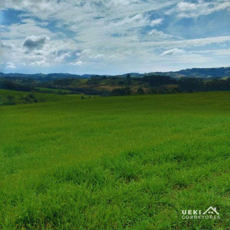 Fazenda-Sítio-Chácara, 315 hectares - Foto 1