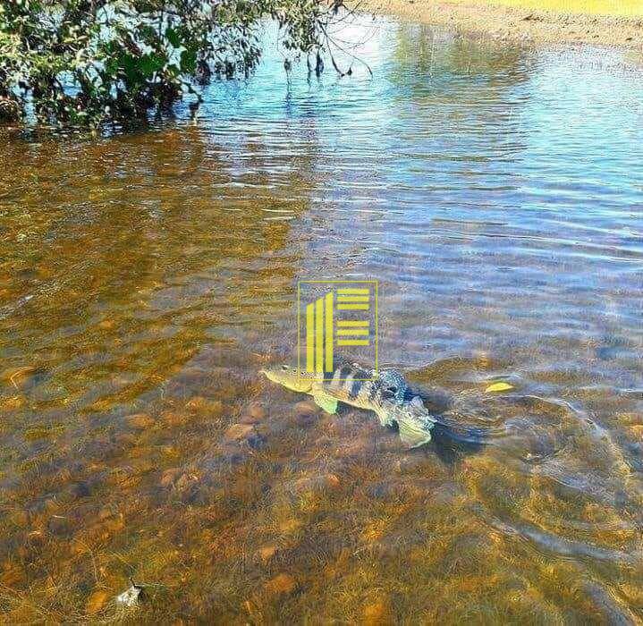 Fazenda-Sítio-Chácara, 70 m² - Foto 3