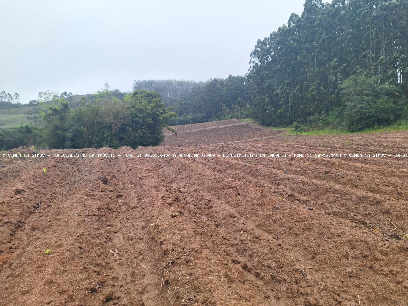 Fazenda à venda com 2 quartos, 141000m² - Foto 32