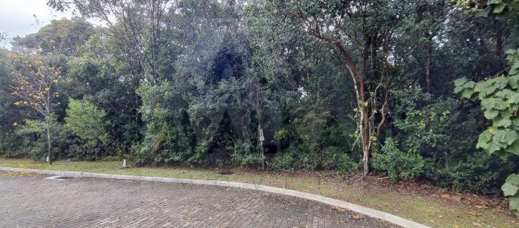 Terreno à venda, 396m² - Foto 5