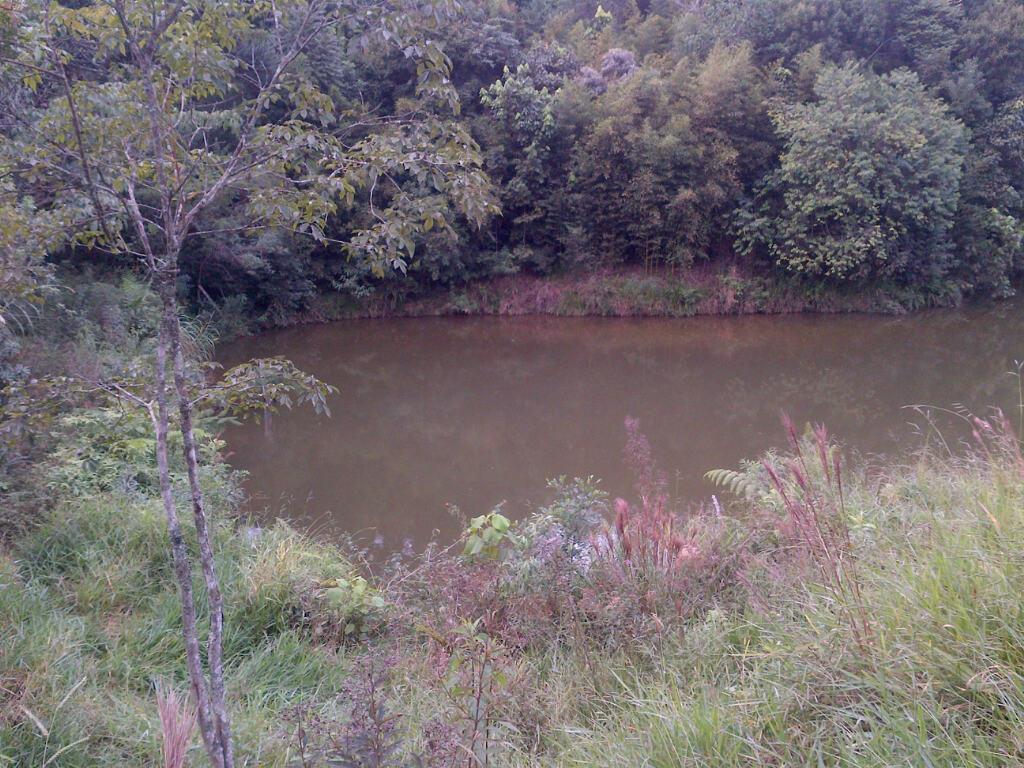 Terreno à venda, 120000m² - Foto 12