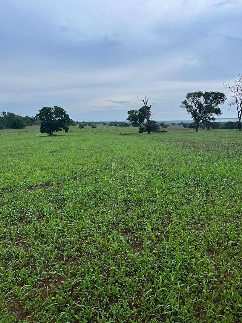 Fazenda à venda, 12000000M2 - Foto 3