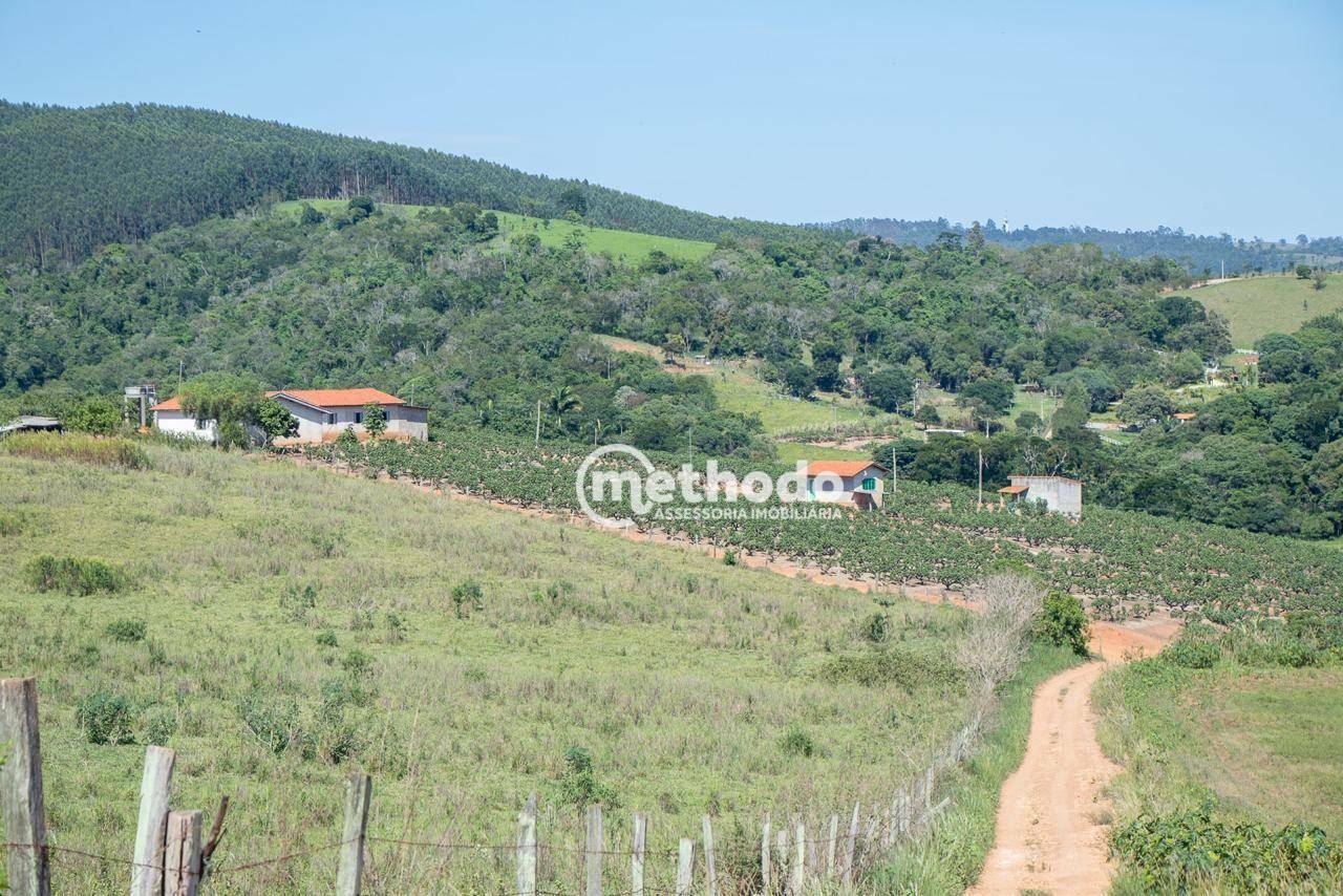 Terreno à venda, 56785M2 - Foto 3