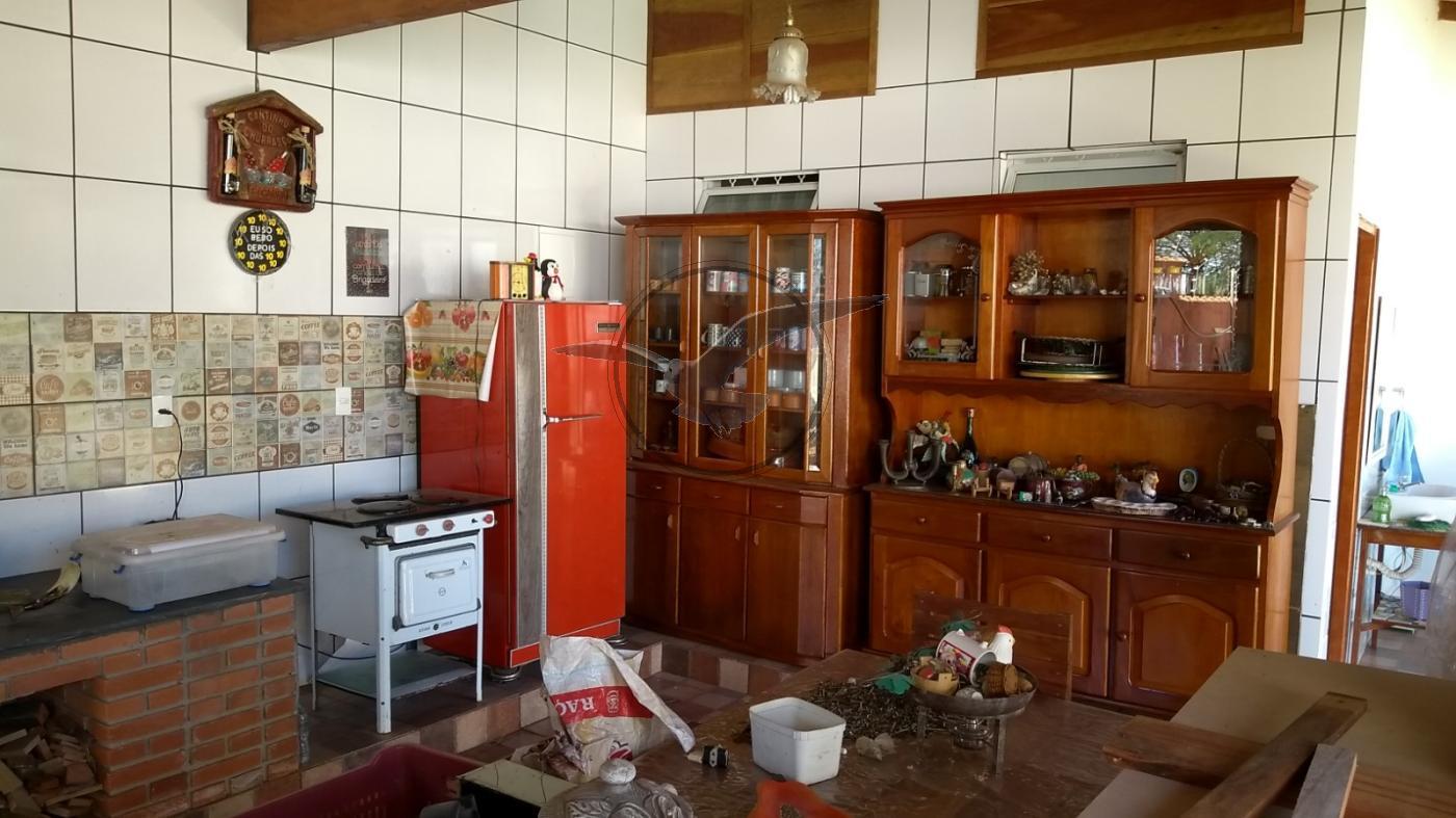 Fazenda à venda com 3 quartos, 1000m² - Foto 4