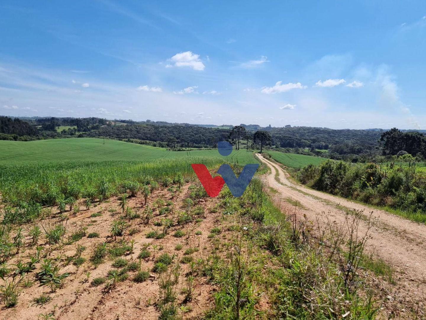 Fazenda à venda com 3 quartos, 1694000M2 - Foto 47