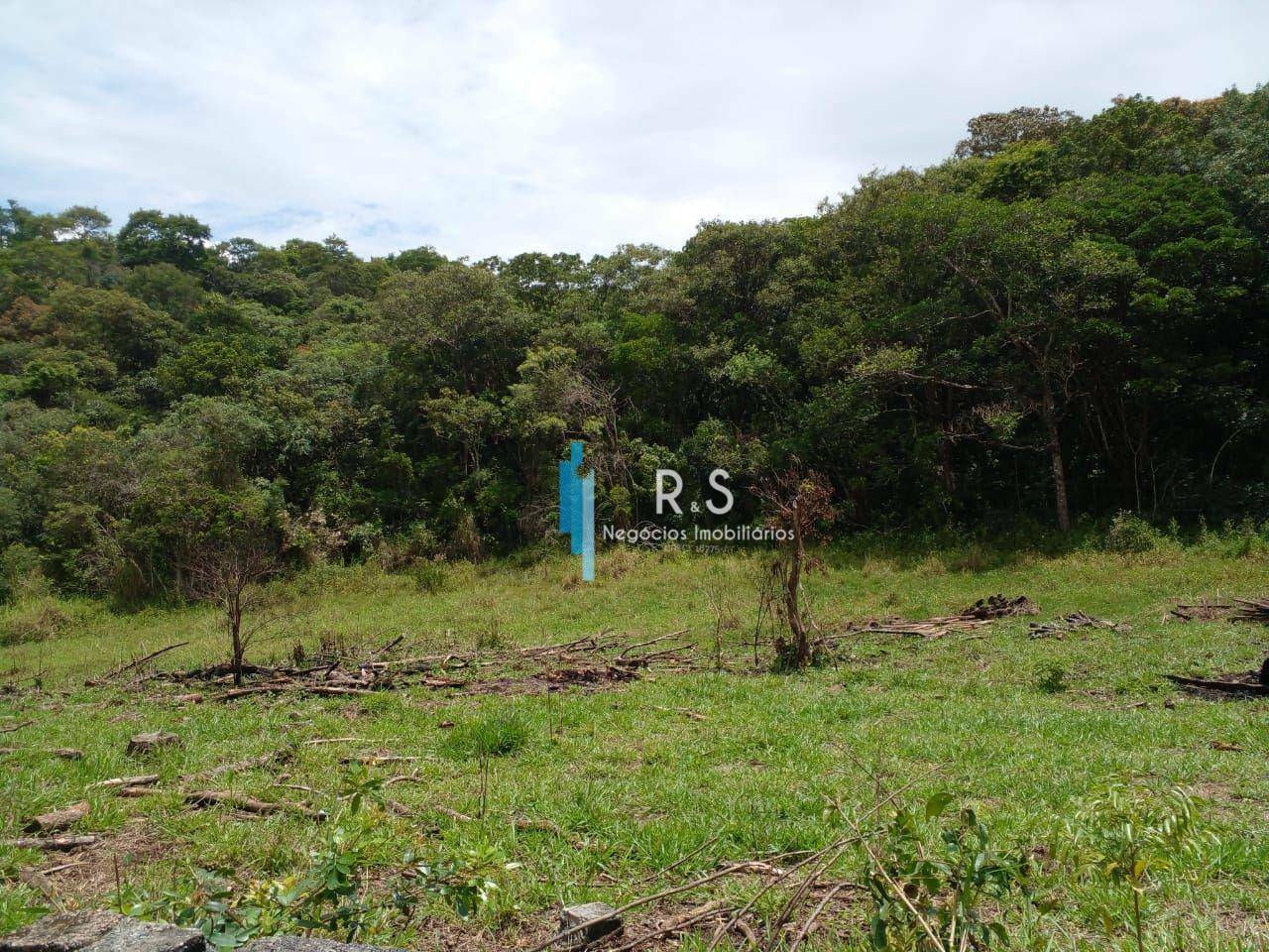 Terreno, 18 hectares - Foto 4