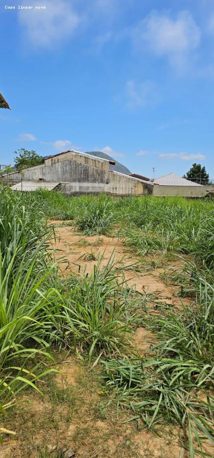 Terreno à venda, 600m² - Foto 3