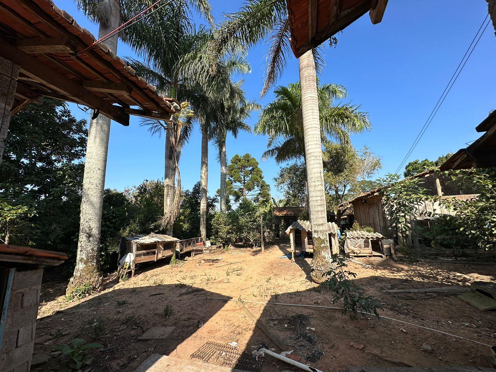 Fazenda à venda com 2 quartos, 14000m² - Foto 1