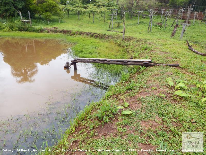 Fazenda à venda com 3 quartos, 60000m² - Foto 17