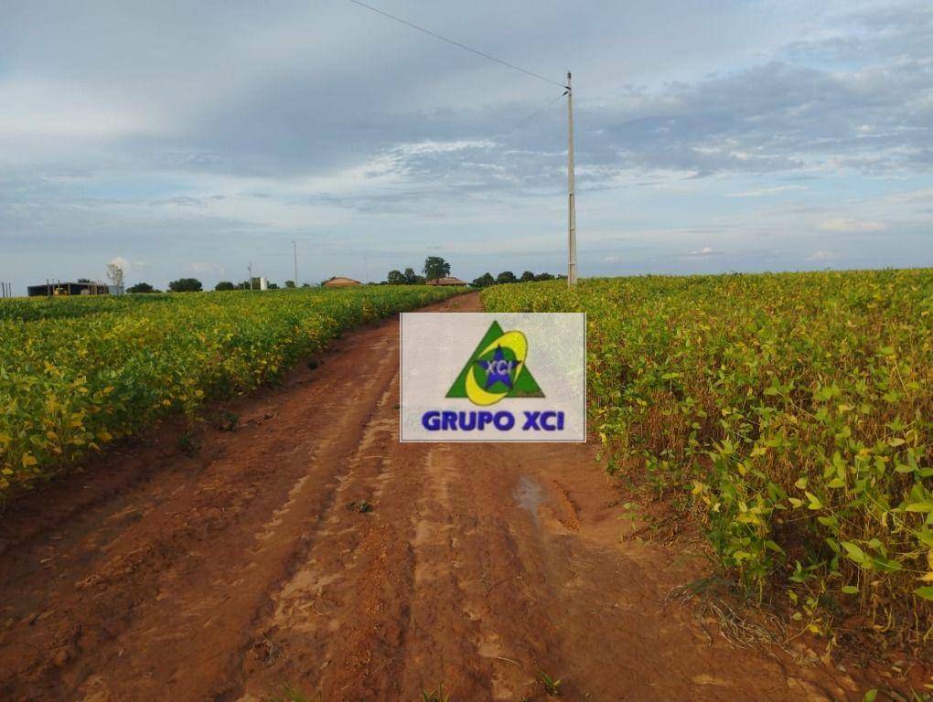 Fazenda-Sítio-Chácara, 339 hectares - Foto 2