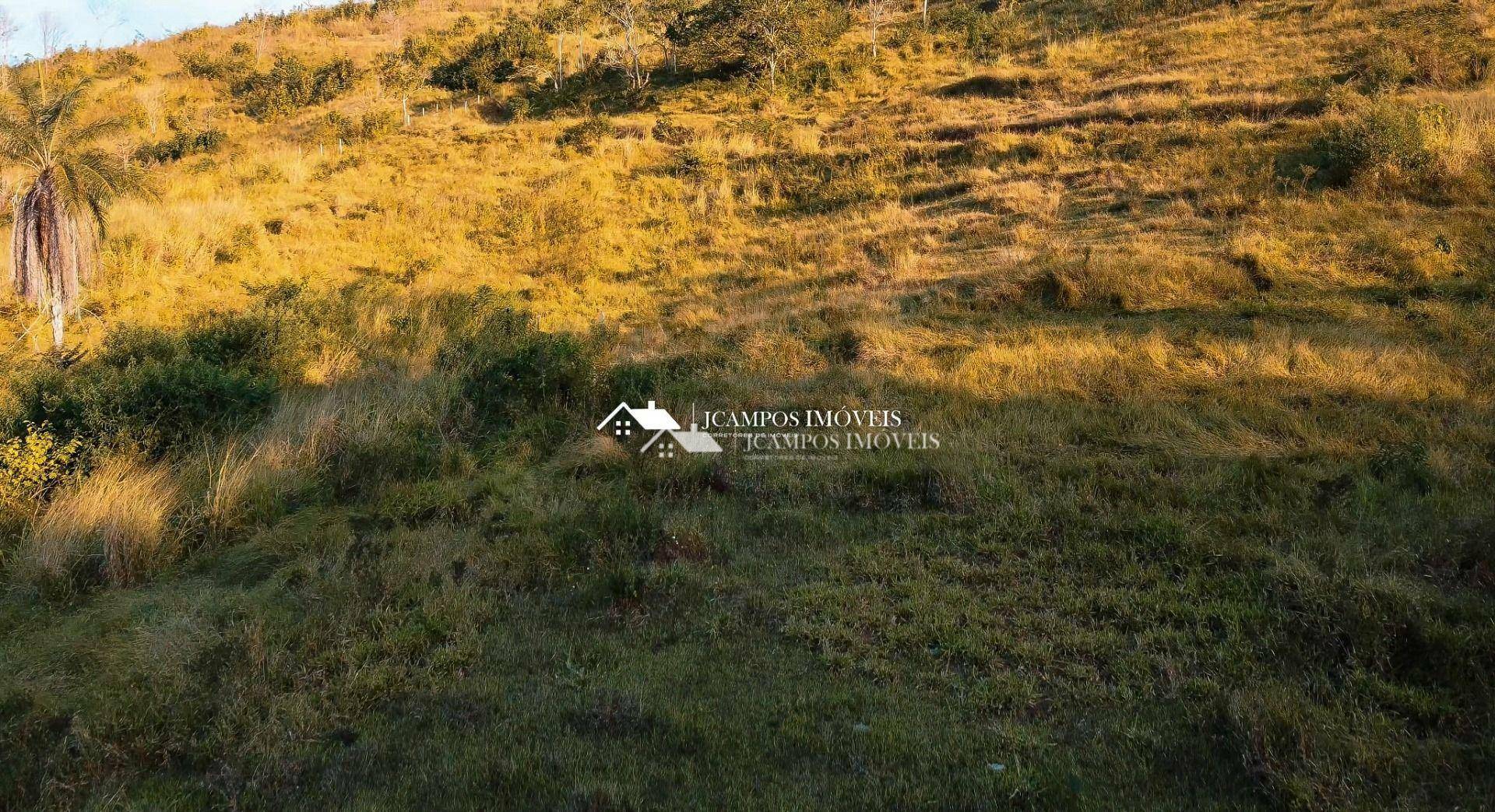 Terreno à venda, 24000M2 - Foto 4