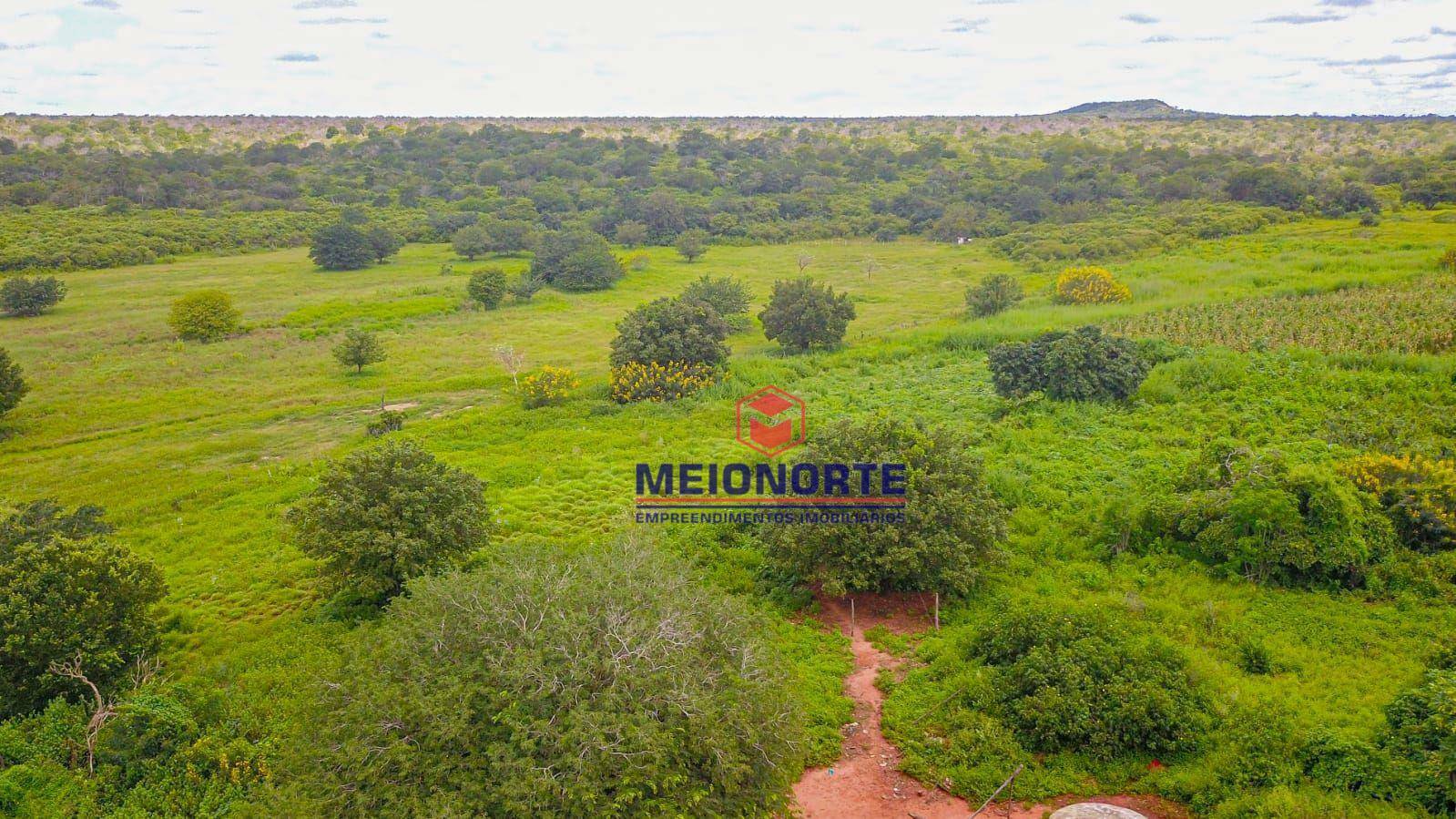 Fazenda à venda com 1 quarto, 99000000M2 - Foto 3