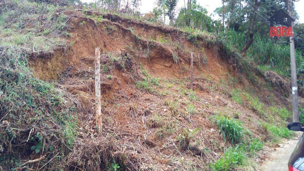 Terreno à venda, 590M2 - Foto 4