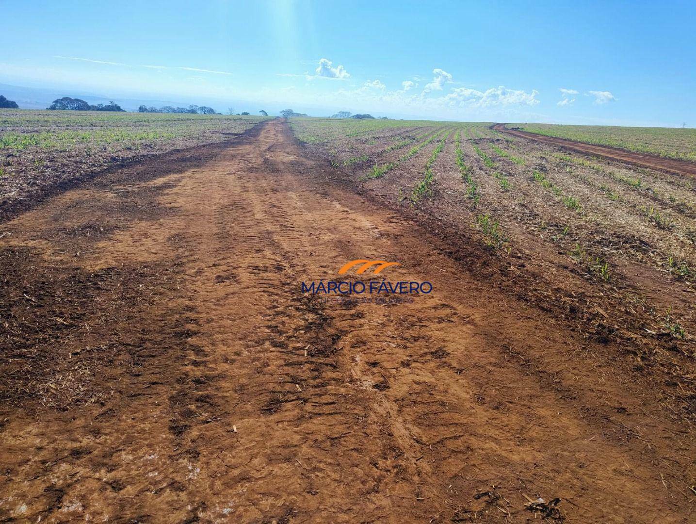 Fazenda-Sítio-Chácara, 298 hectares - Foto 30