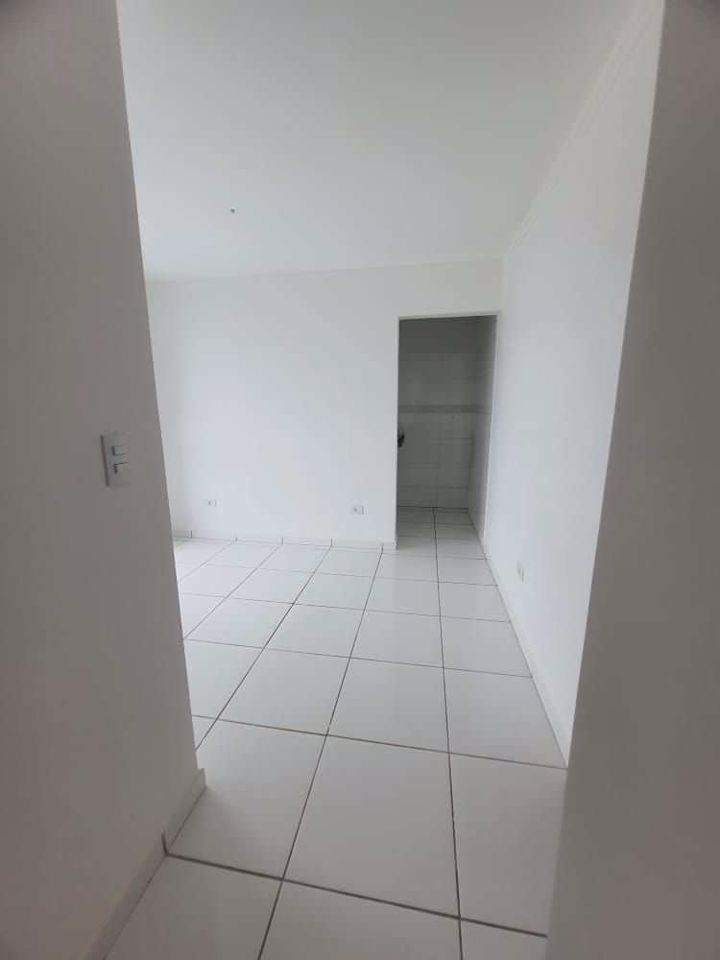 Apartamento à venda com 2 quartos, 57m² - Foto 8