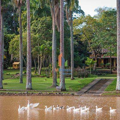 Loteamento e Condomínio à venda, 450M2 - Foto 1