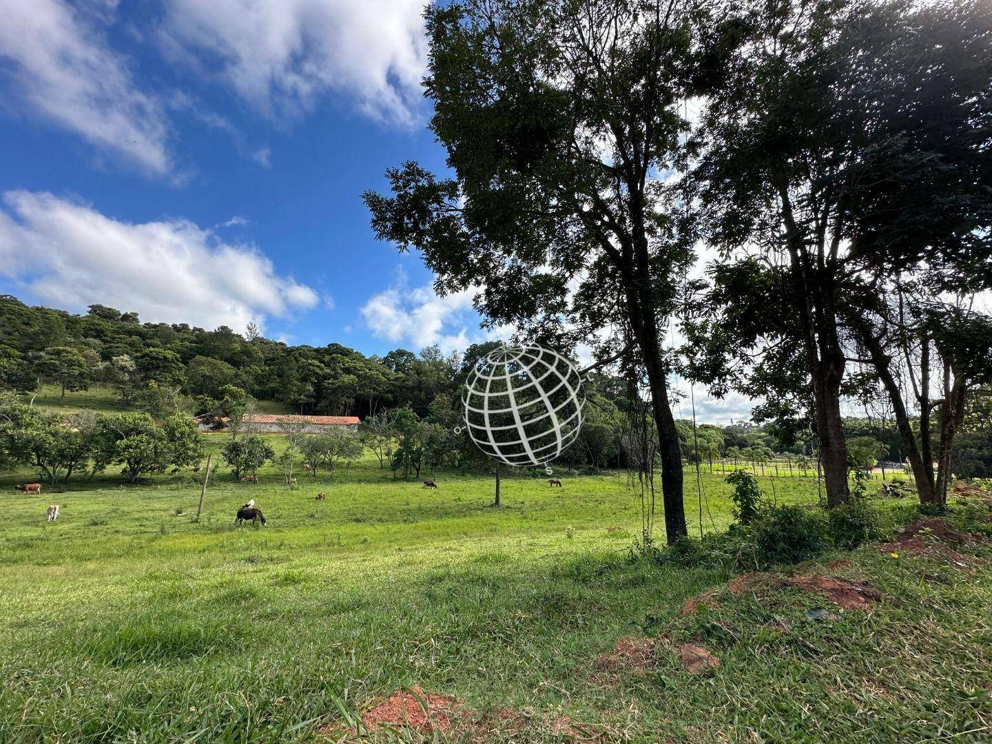 Terreno à venda, 20252M2 - Foto 5