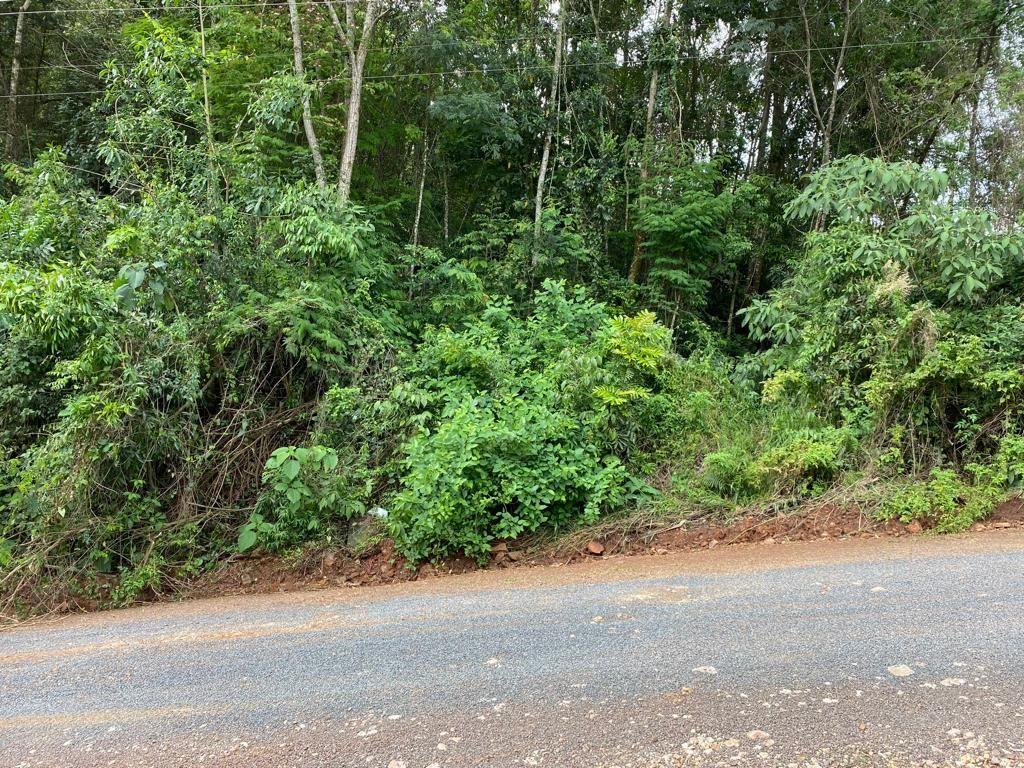 Terreno, 468 m² - Foto 4