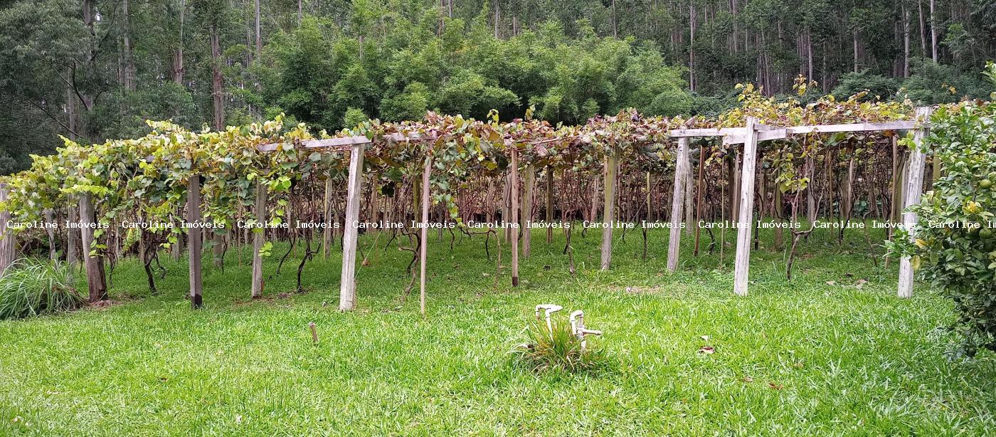 Fazenda à venda com 4 quartos, 418000m² - Foto 38