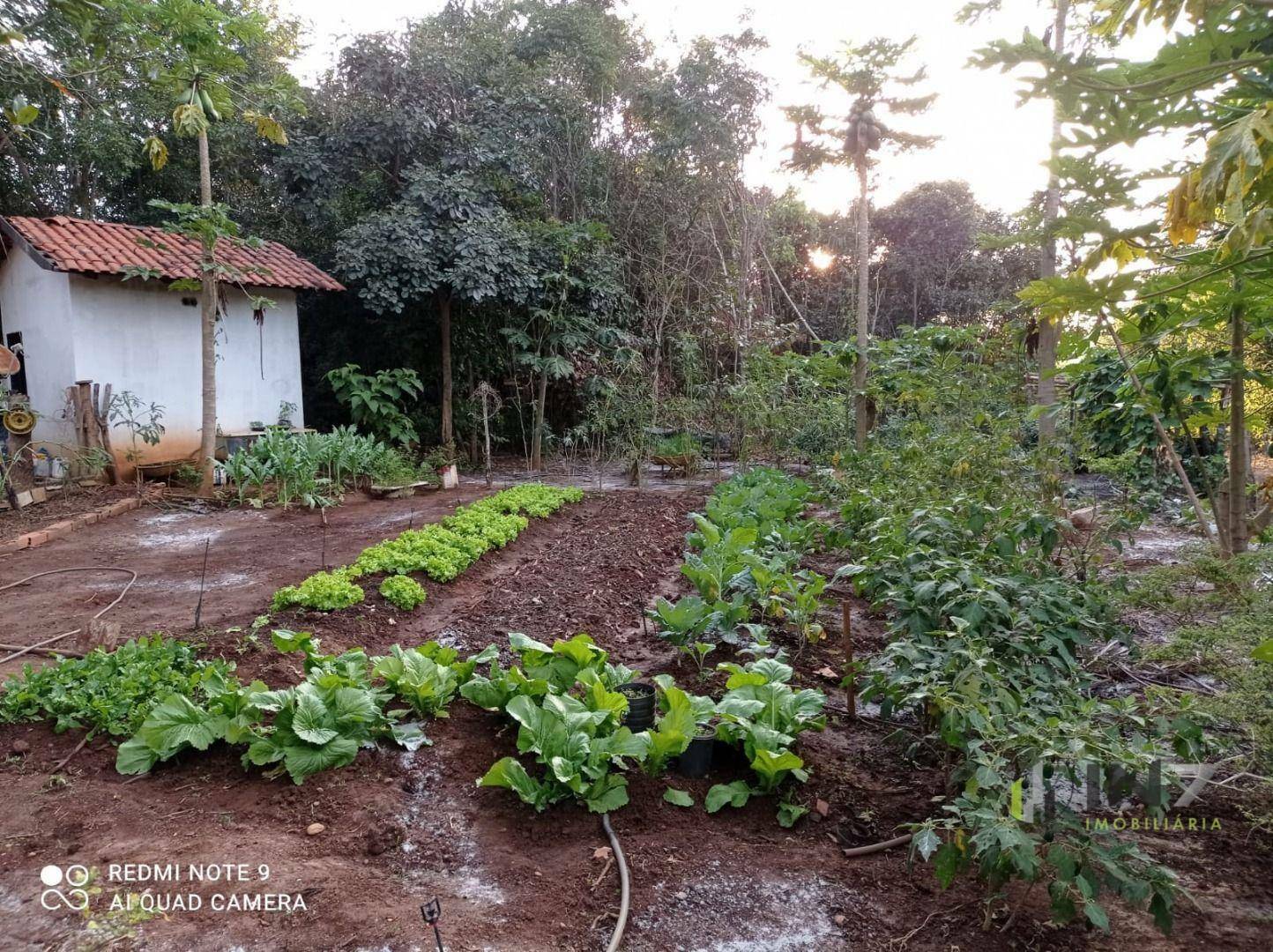 Chácara à venda com 6 quartos, 72600M2 - Foto 8