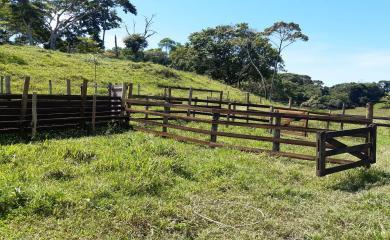 Sítio à venda com 2 quartos, 210000m² - Foto 10