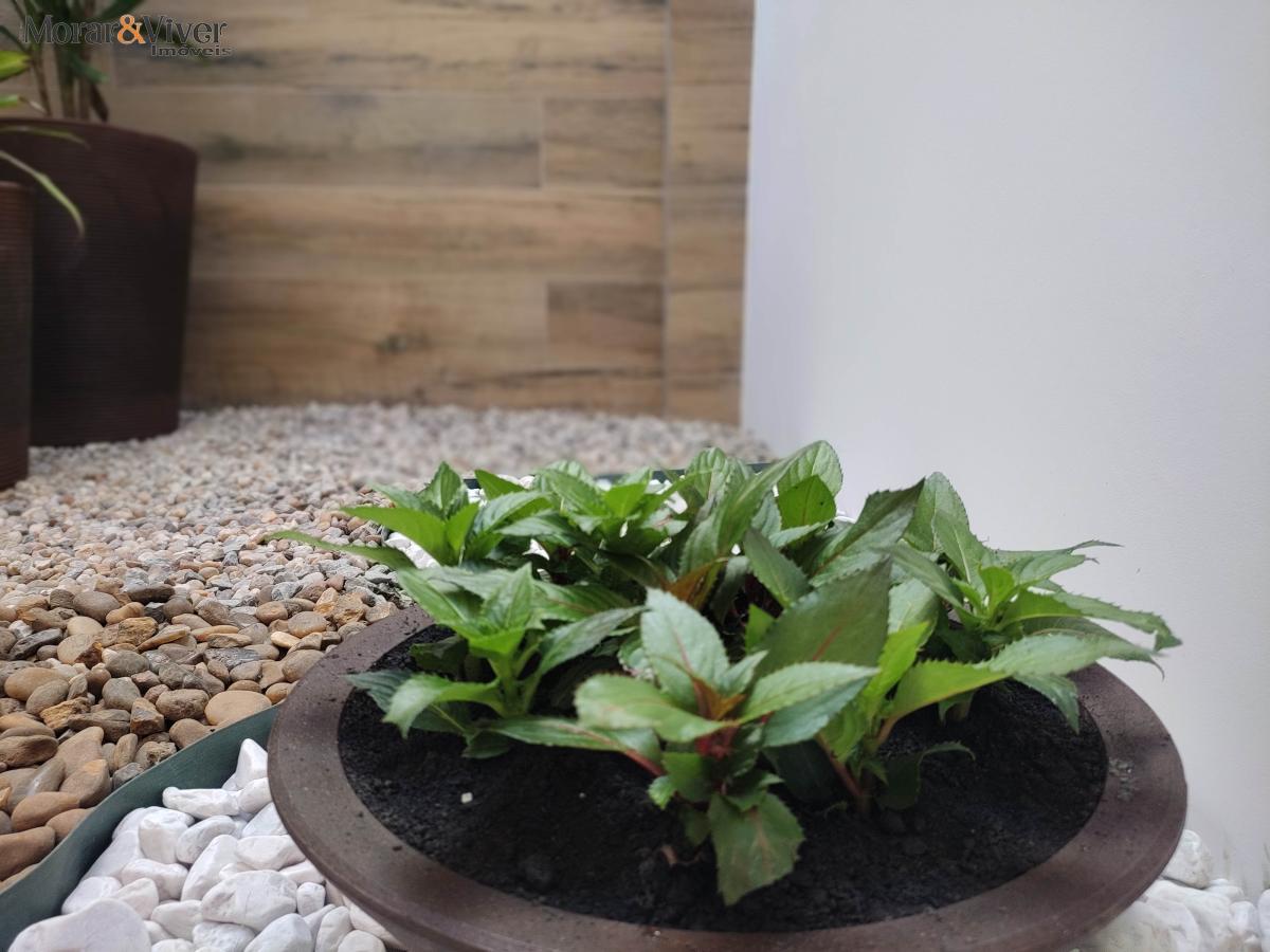Casa à venda com 3 quartos, 115m² - Foto 37