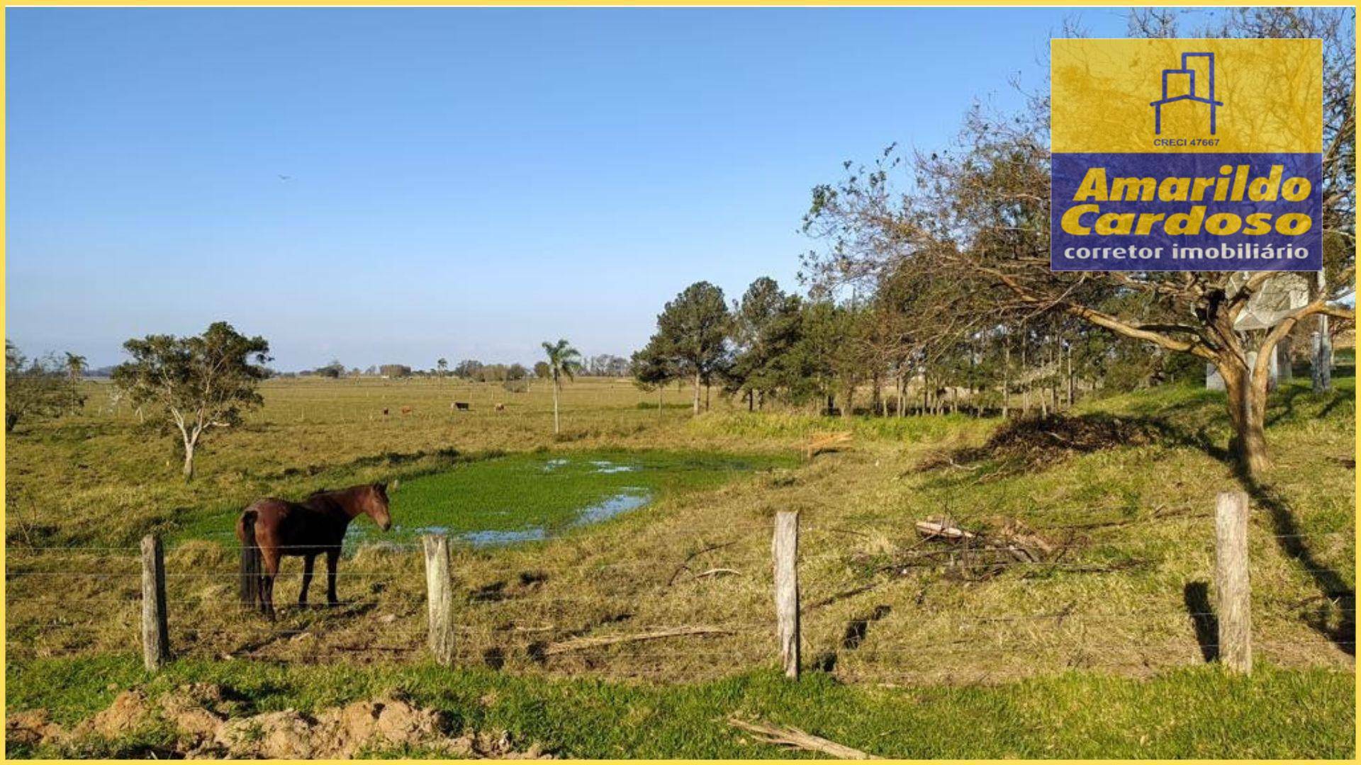 Terreno à venda, 9000M2 - Foto 5