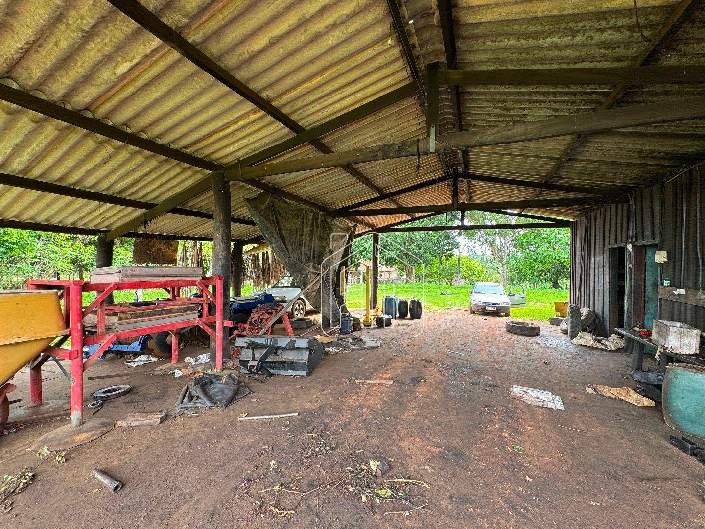 Fazenda à venda com 3 quartos, 26600000M2 - Foto 6