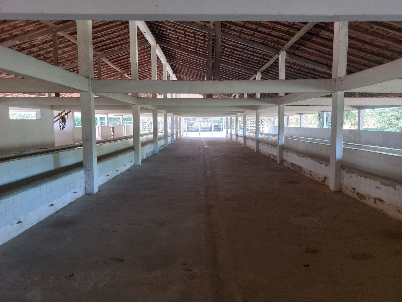 Fazenda à venda com 4 quartos, 34m² - Foto 23