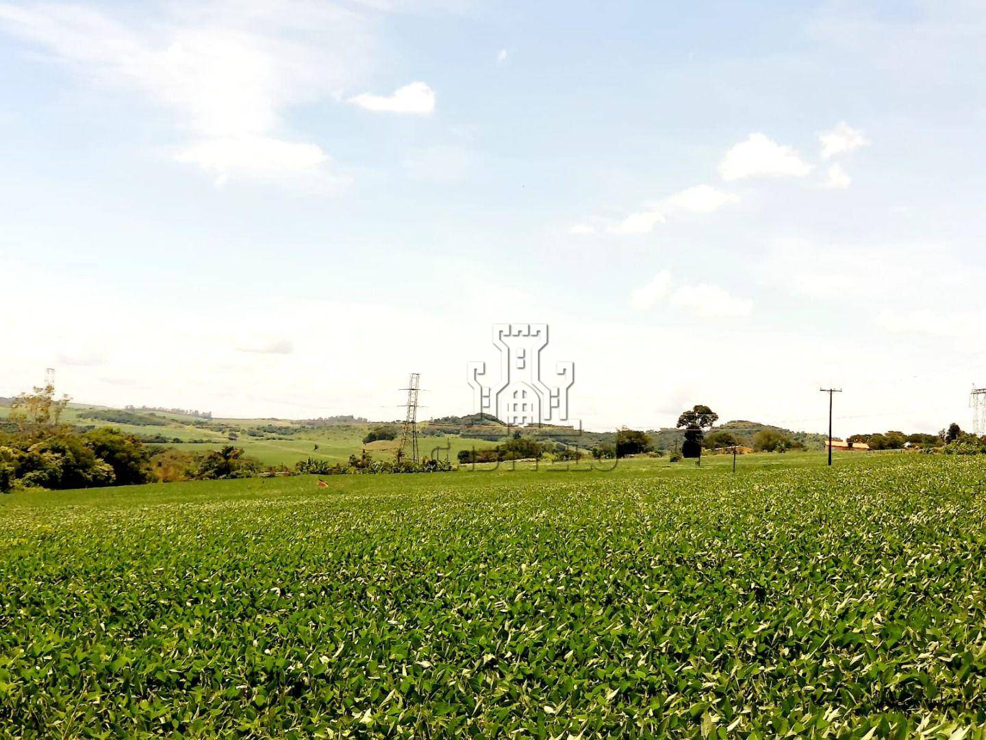 Sítio, 2 quartos, 10 hectares - Foto 3