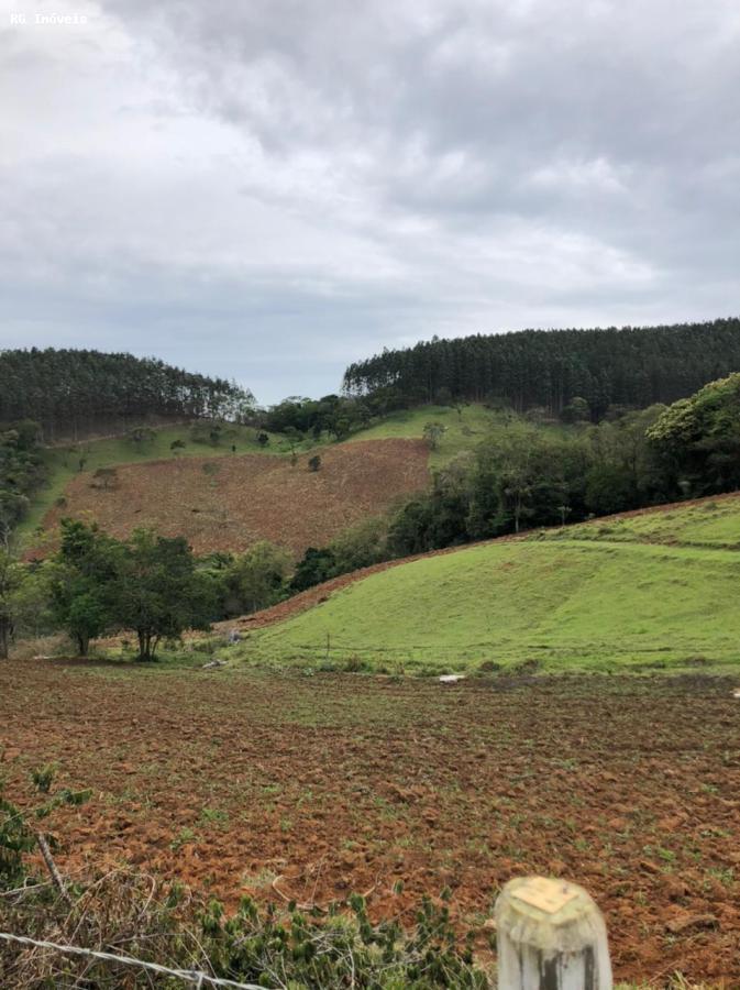 Fazenda-Sítio-Chácara, 378 hectares - Foto 6