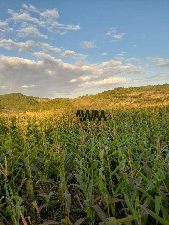 Fazenda à venda, 12100000M2 - Foto 23