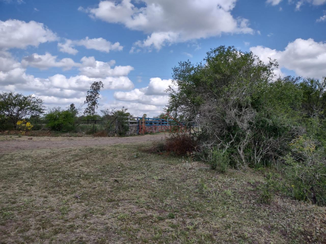 Fazenda-Sítio-Chácara - Foto 18