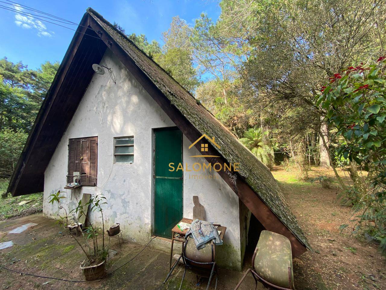 Sítio, 1 quarto, 10000 m² - Foto 3