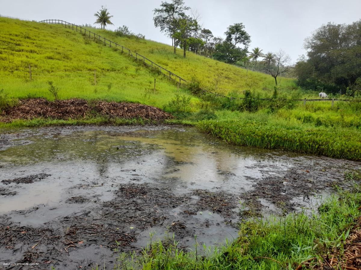 Fazenda à venda com 2 quartos, 61000m² - Foto 10