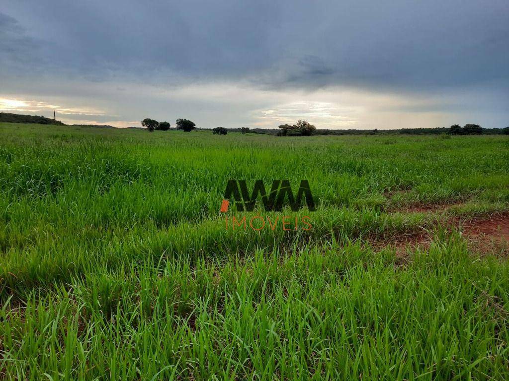 Fazenda à venda, 87120000M2 - Foto 29