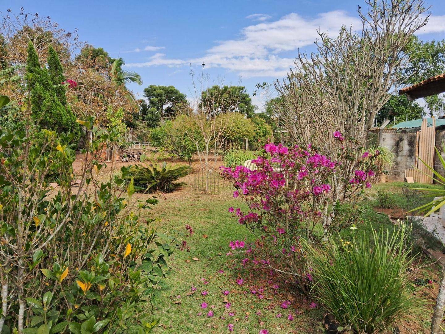 Chácara, 3 quartos, 1007 m² - Foto 20