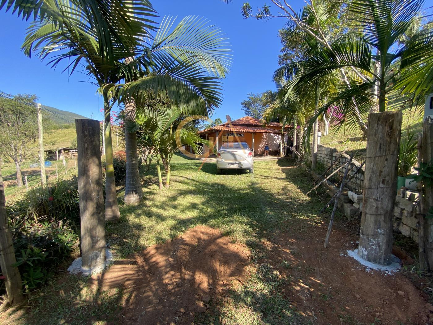 Fazenda à venda com 3 quartos, 1543m² - Foto 6