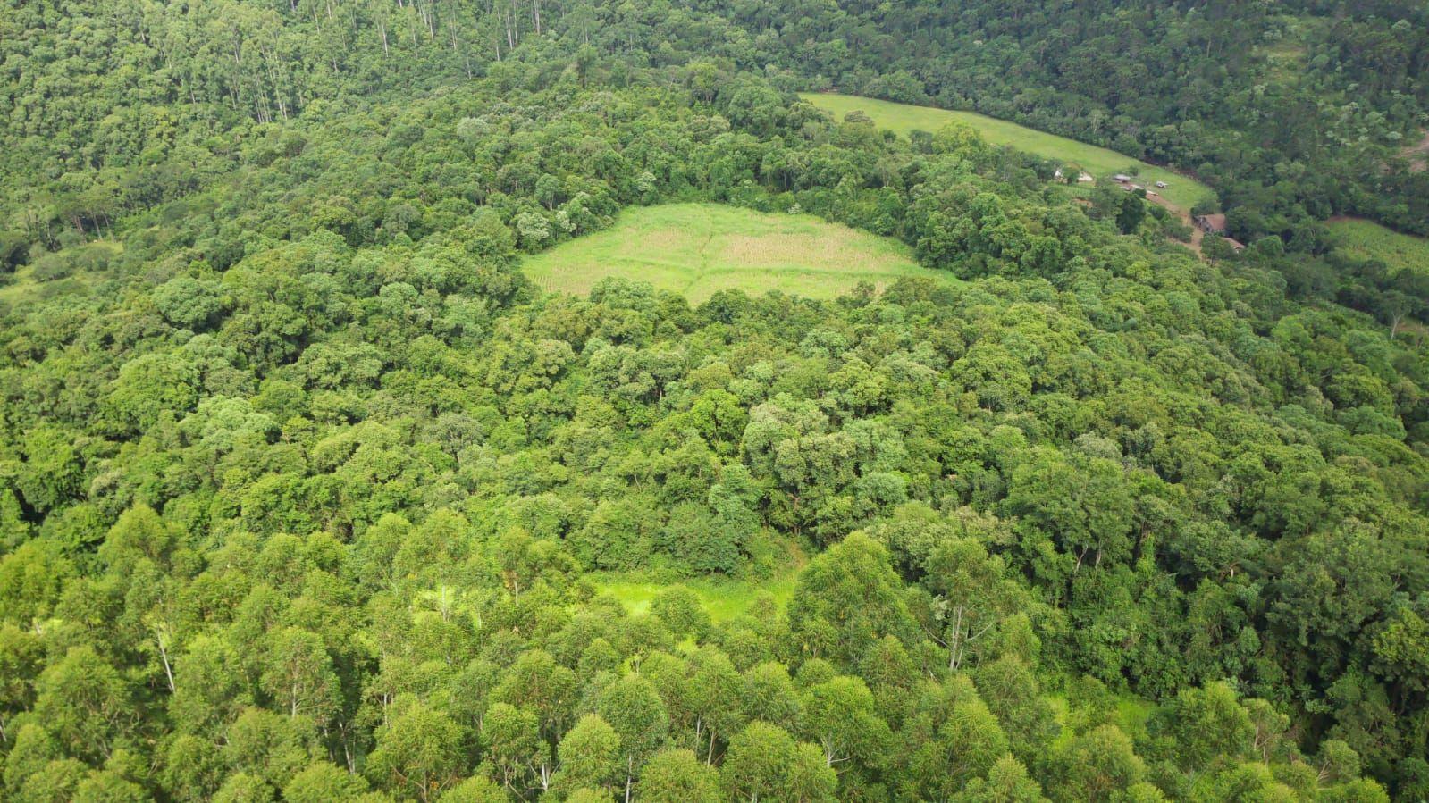 Loteamento e Condomínio à venda, 193600m² - Foto 10