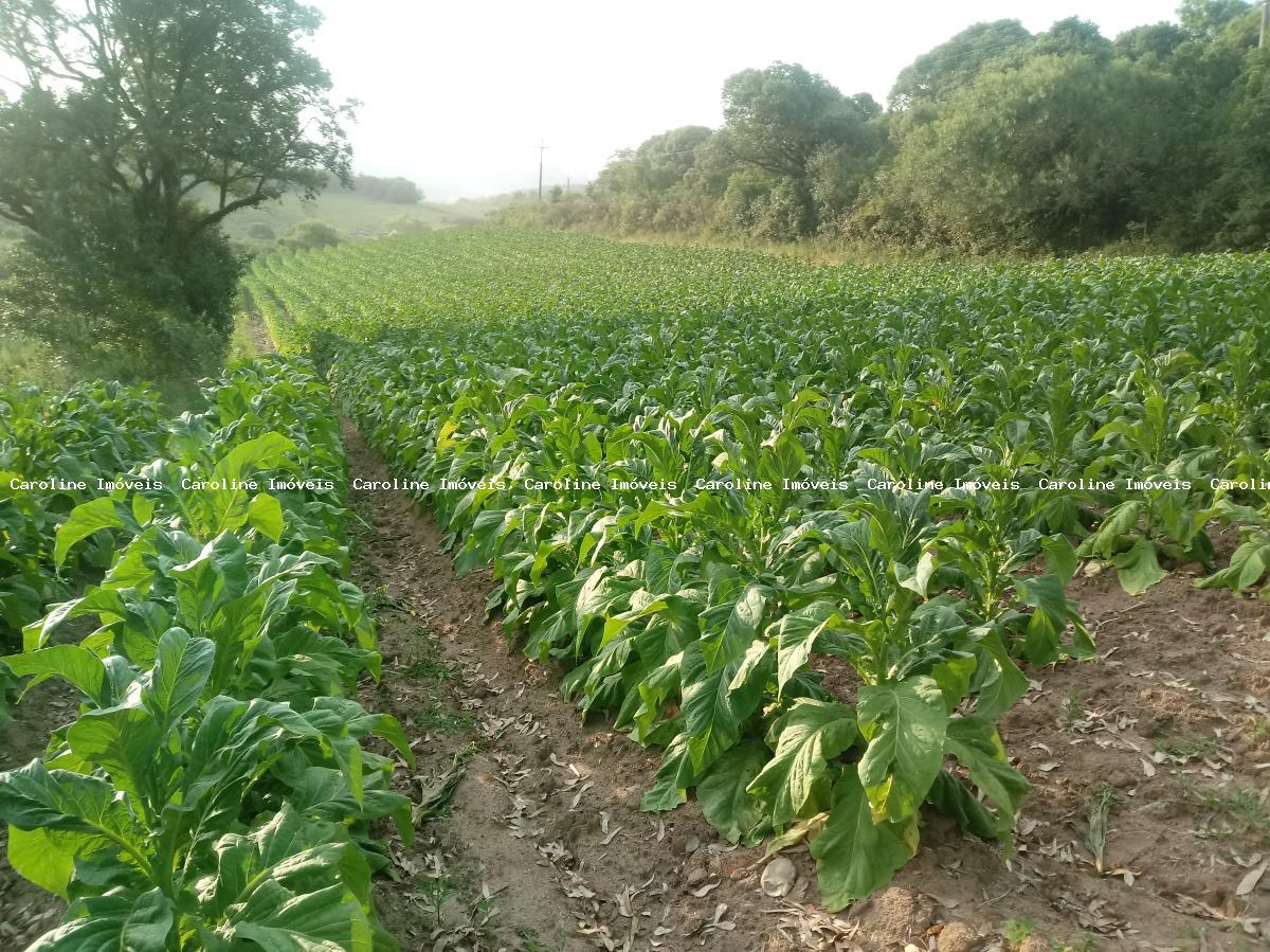 Fazenda à venda com 3 quartos, 60000m² - Foto 35