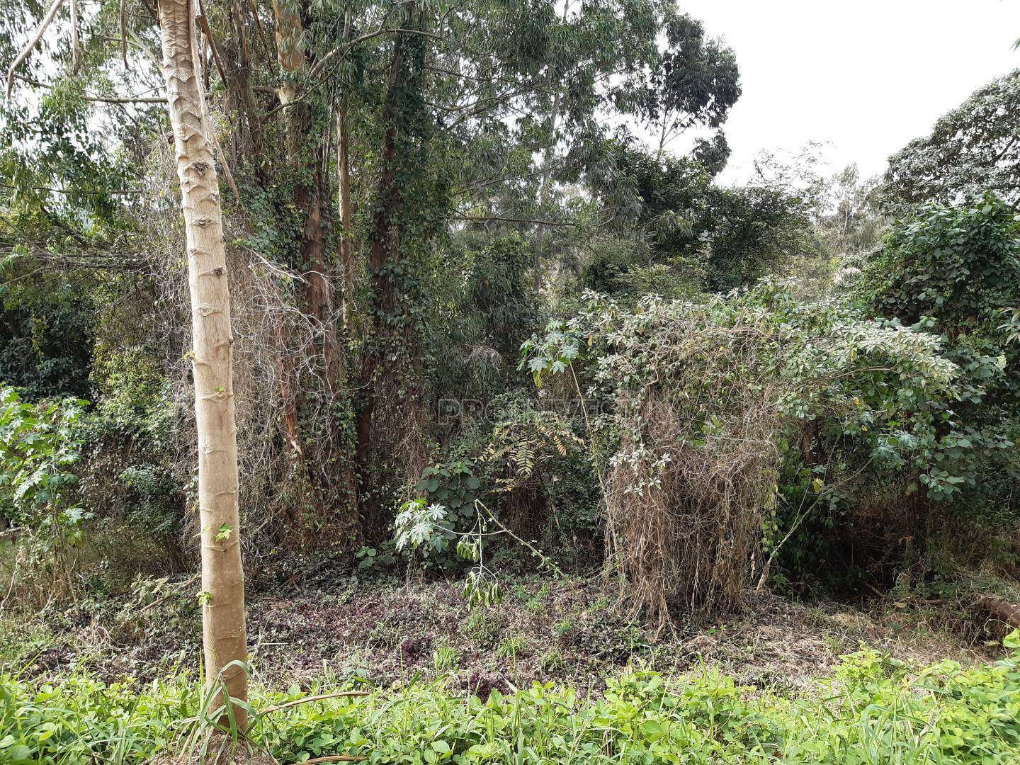 Loteamento e Condomínio, 2085 m² - Foto 2