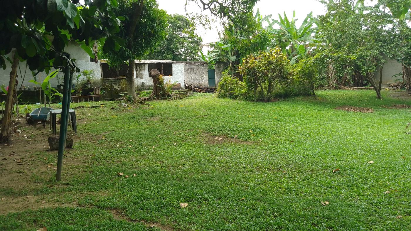 Sítio à venda, 10000m² - Foto 27
