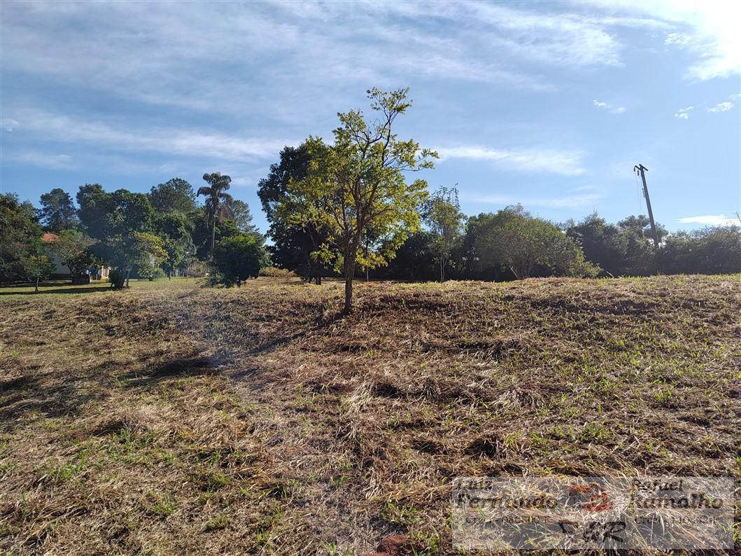 Fazenda à venda com 2 quartos, 16000m² - Foto 39