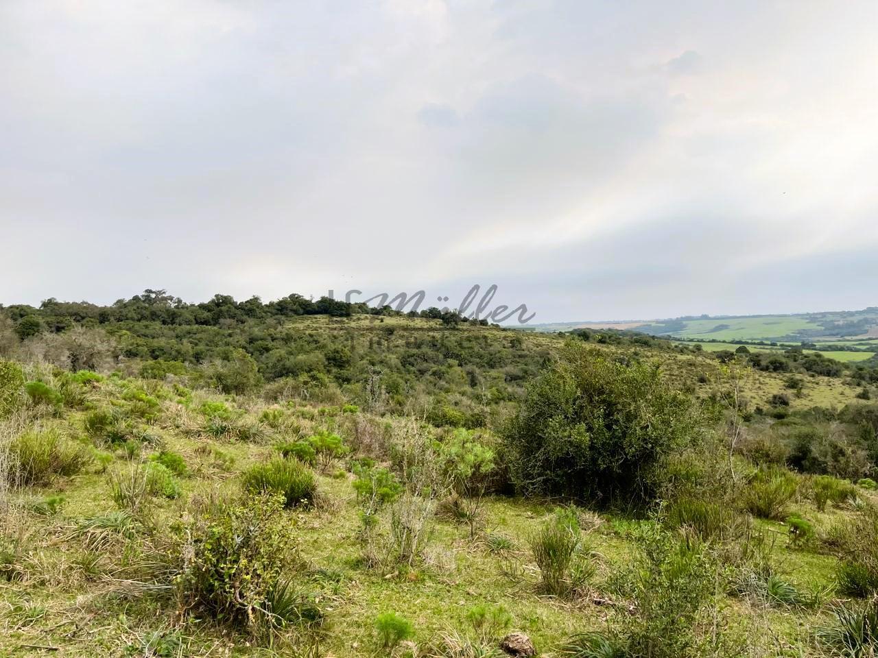 Fazenda à venda, 386m² - Foto 13