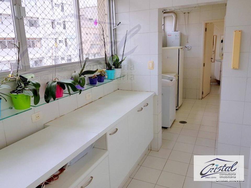 Apartamento à venda com 3 quartos, 245m² - Foto 31