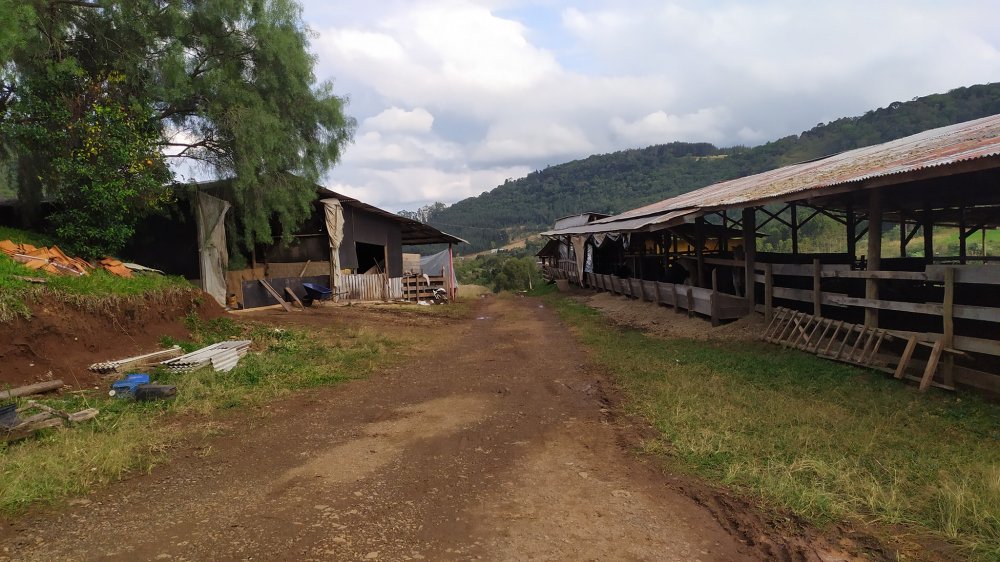 Fazenda à venda com 1 quarto, 2m² - Foto 7