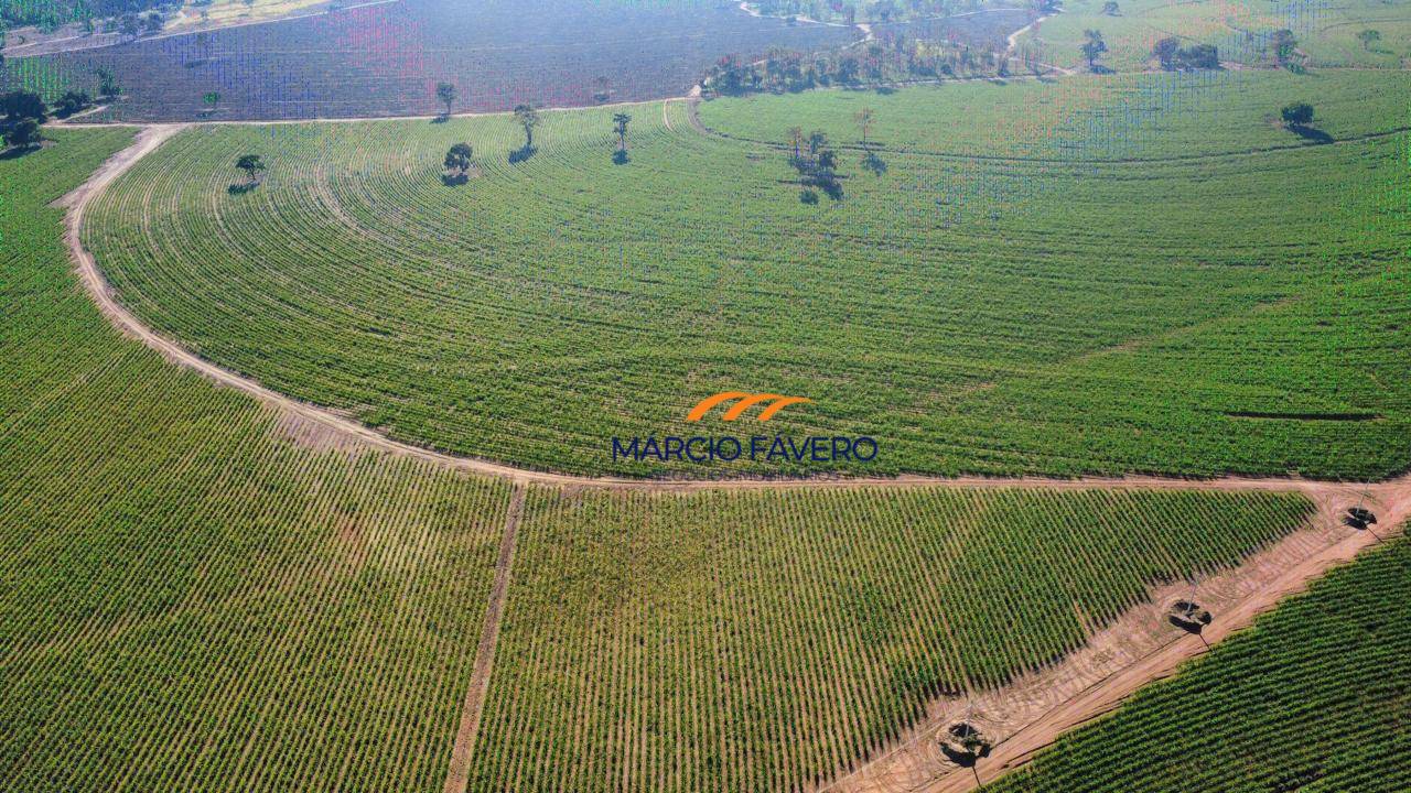 Fazenda, 605 hectares - Foto 1