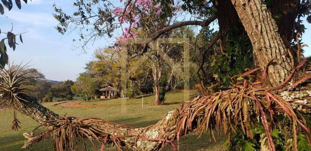 Fazenda à venda com 3 quartos, 210m² - Foto 7